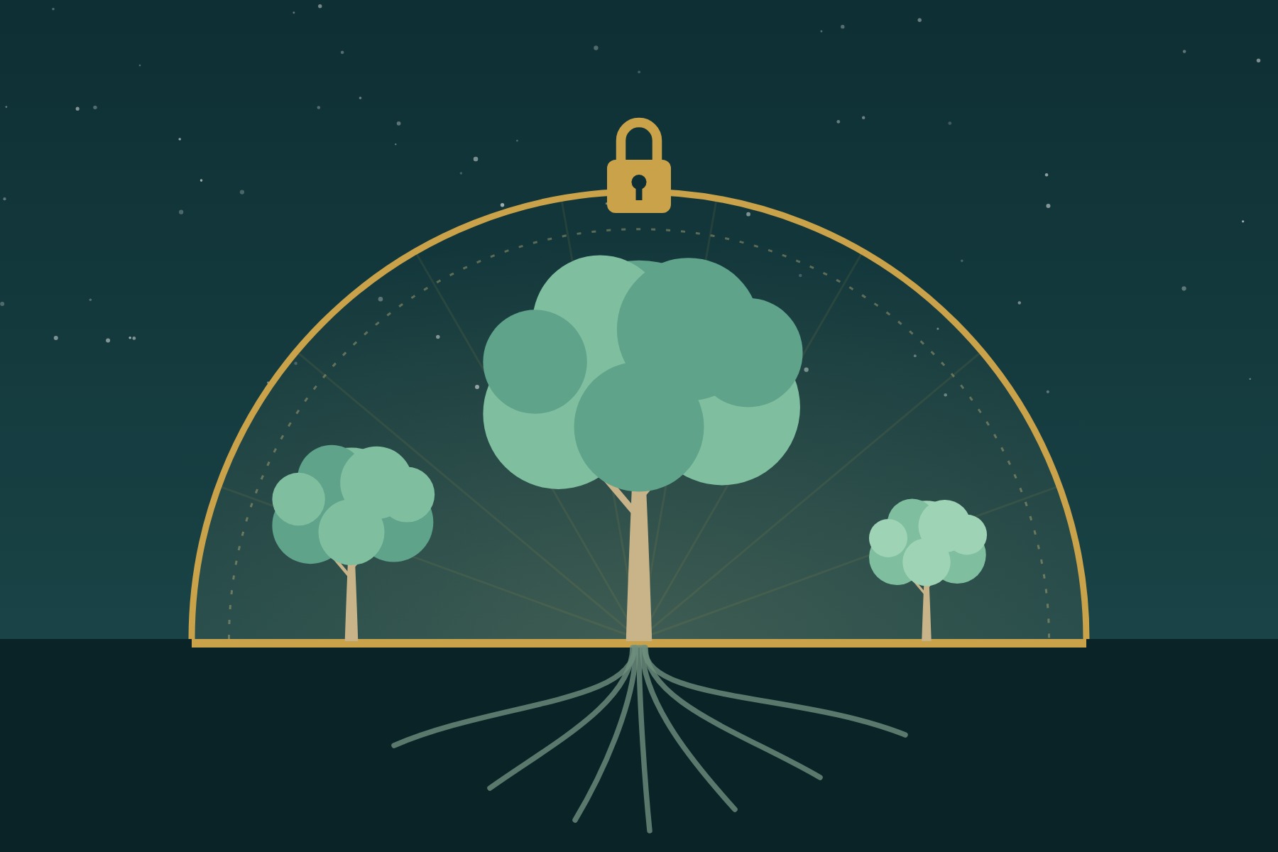 Bucket 2: Legacy ($30M to Irrevocable Trusts and an ILIT)